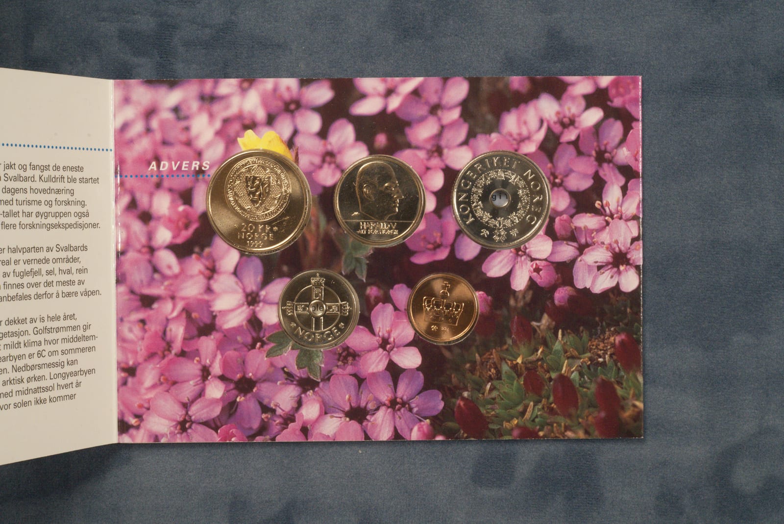 Norske mynter 1999